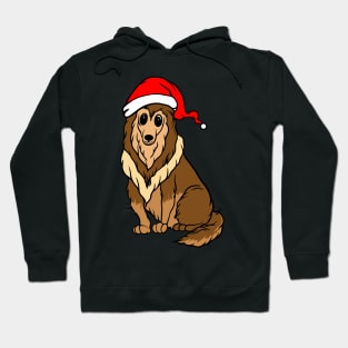 Christmas Dog Hoodie